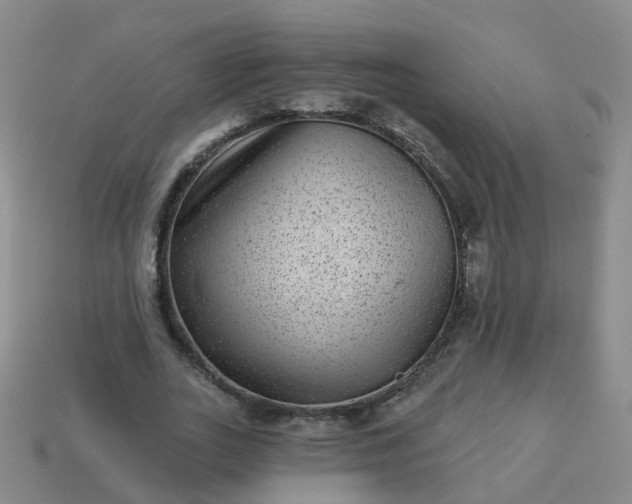 X0000113880727200910081746