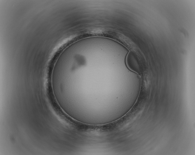 X0000113880728200910081746