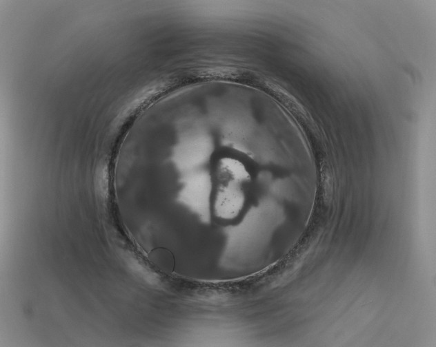 X0000113880729200910081746