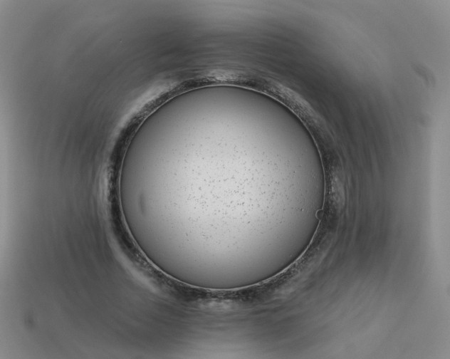 X0000113880730200910081746