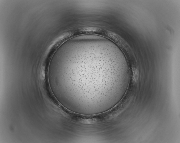 X0000113880731200910081746