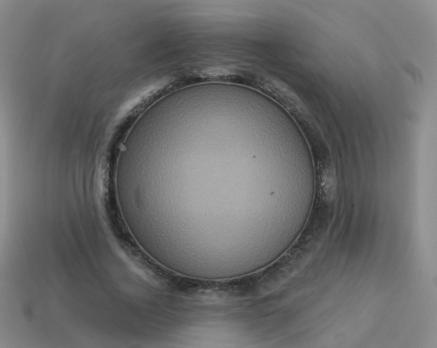 X0000113880732200910081746