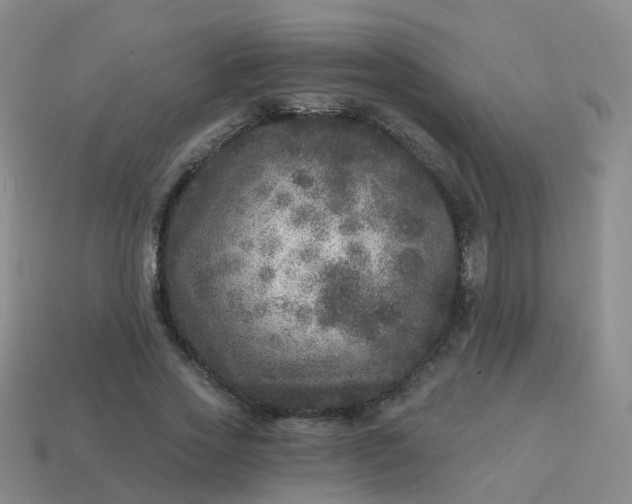 X0000113880733200910081746