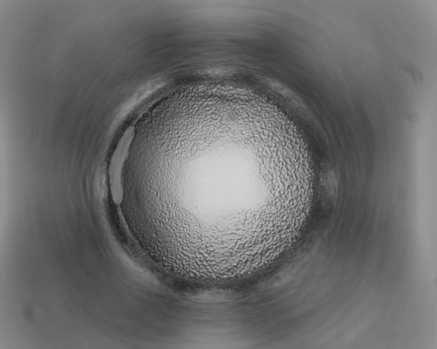 X0000113880734200910081746