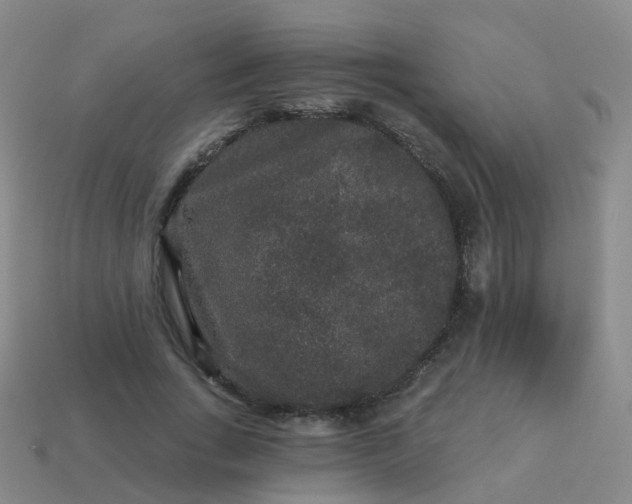 X0000113880735200910081746