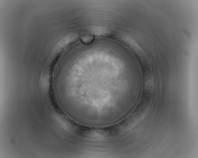 X0000113880736200910081746