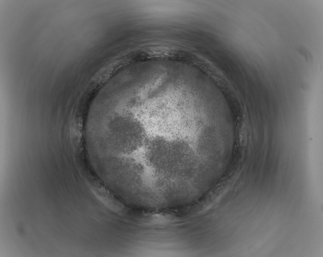 X0000113880737200910081746