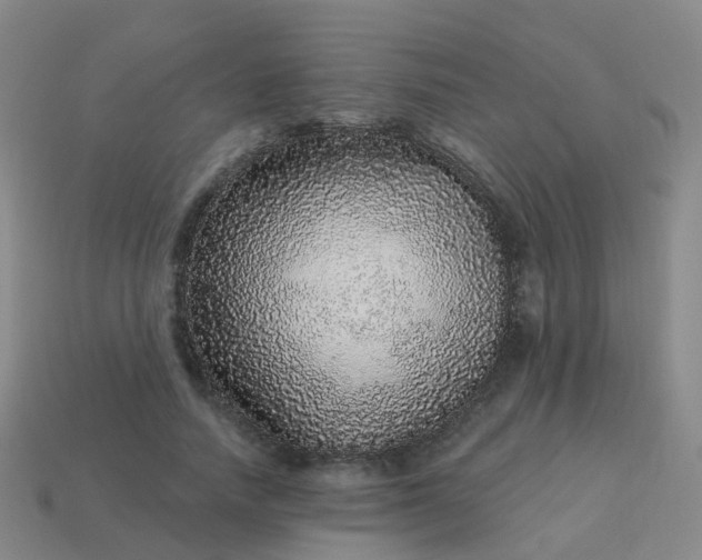 X0000113880738200910081746