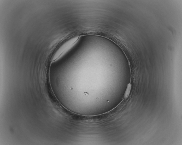 X0000113880740200910081746