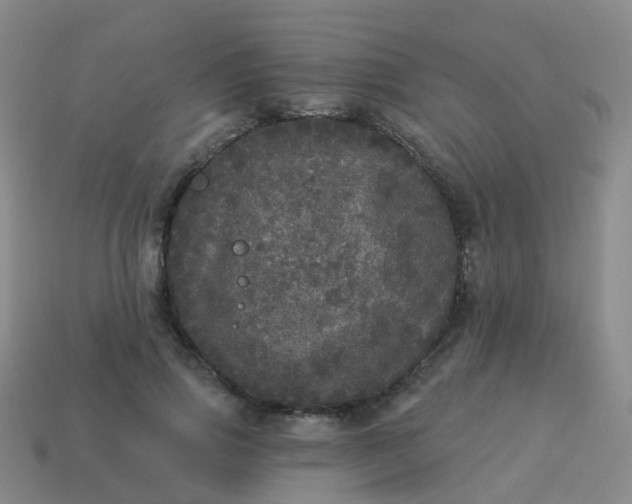 X0000113880741200910081746