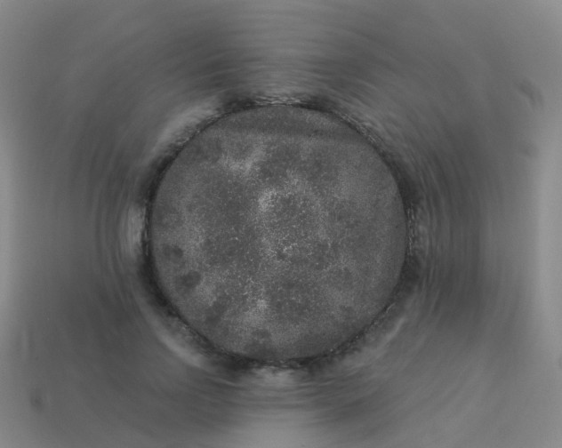 X0000113880742200910081746