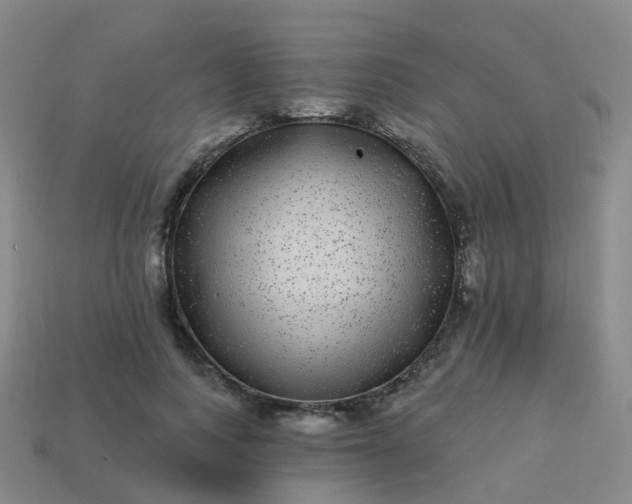 X0000113880743200910081746