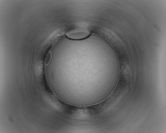 X0000113880744200910081746