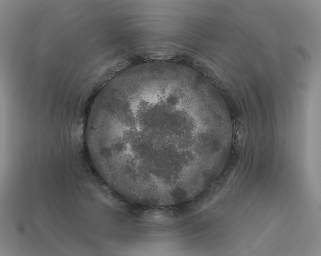 X0000113880745200910081746