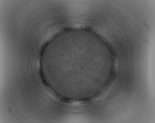 X0000113880746200910081746