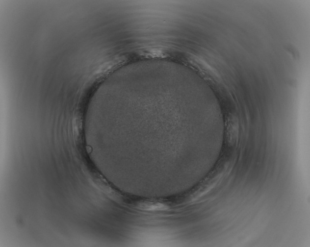 X0000113880747200910081746