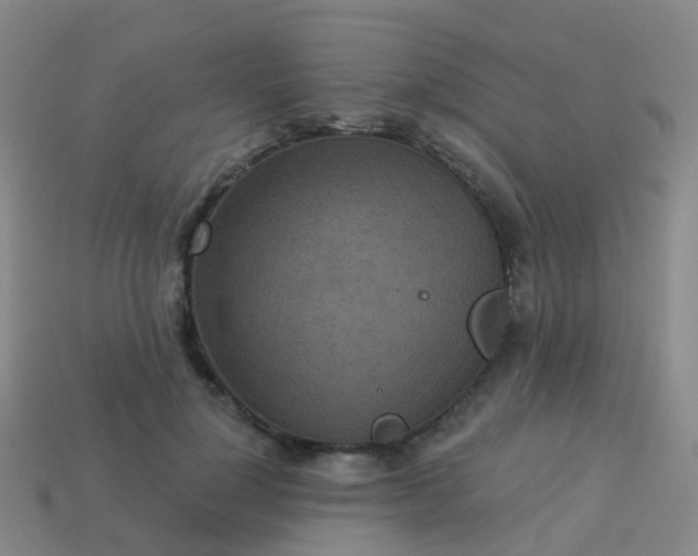 X0000113880748200910081746