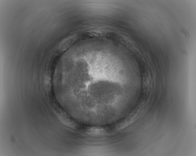 X0000113880749200910081746