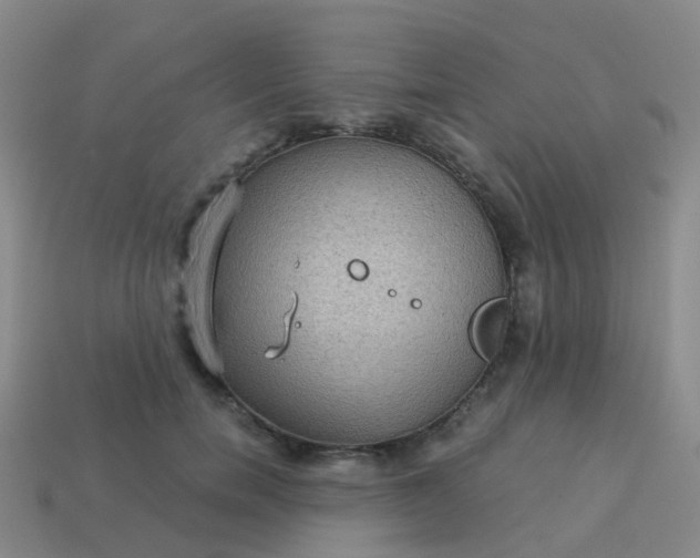 X0000113880750200910081746