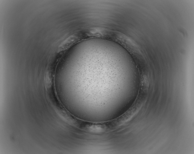 X0000113880751200910081746