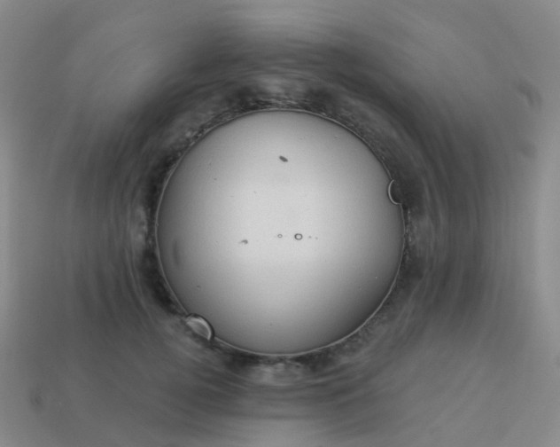 X0000113880752200910081746