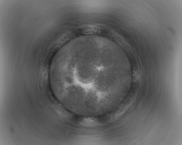 X0000113880753200910081746