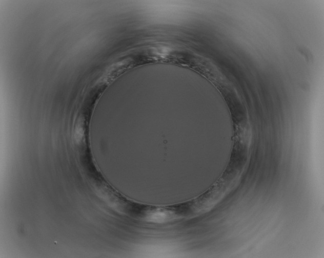 X0000113880754200910081746