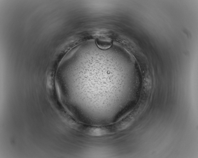 X0000113880755200910081746