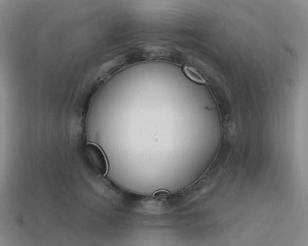 X0000113880756200910081746