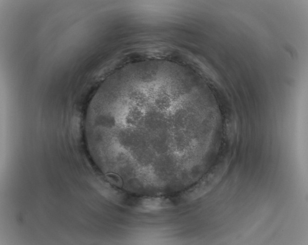 X0000113880757200910081746