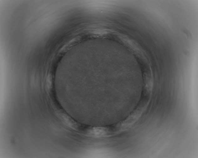 X0000113880758200910081746