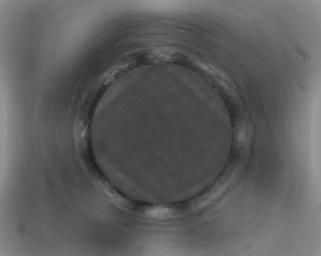 X0000113880759200910081746