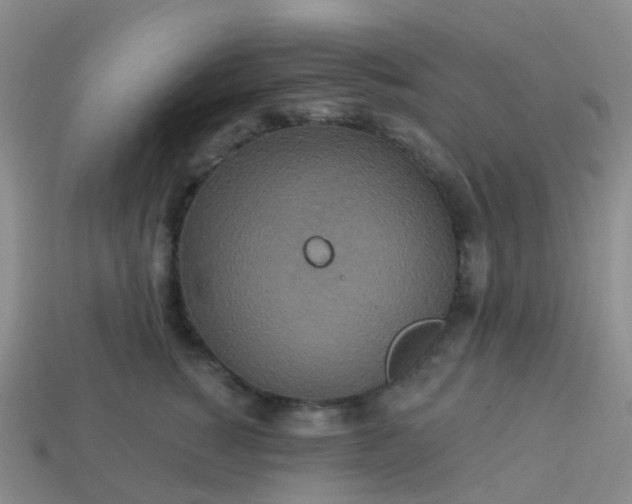 X0000113880760200910081746