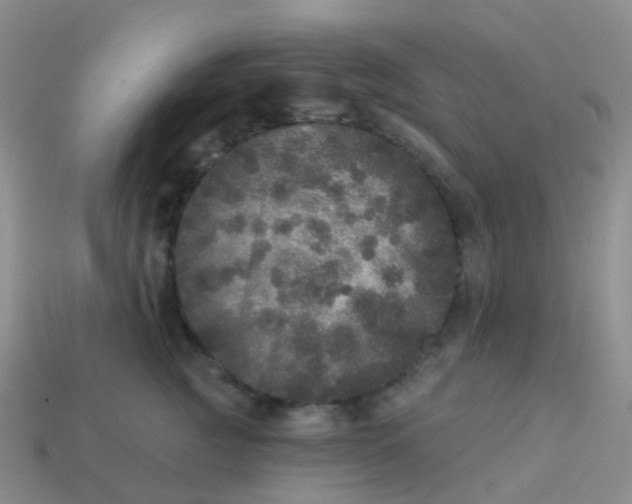 X0000113880761200910081746