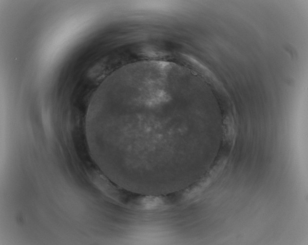 X0000113880762200910081746