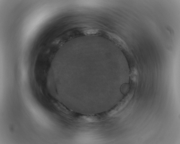 X0000113880763200910081746