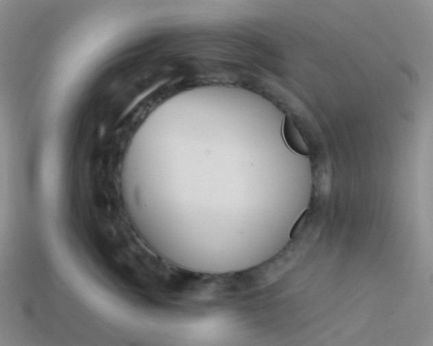 X0000113880764200910081746