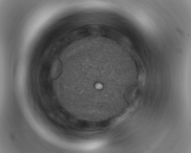 X0000113880765200910081746