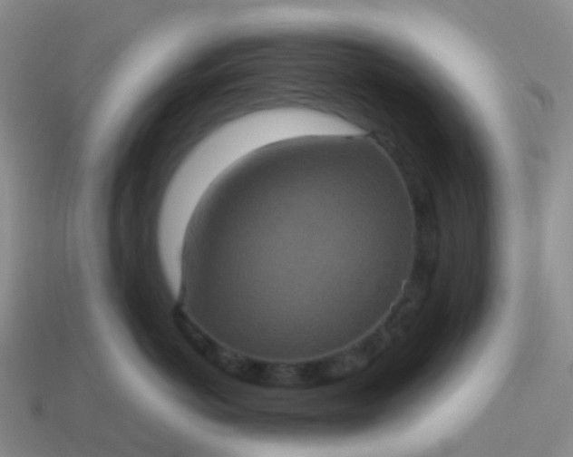 X0000113880766200910081746