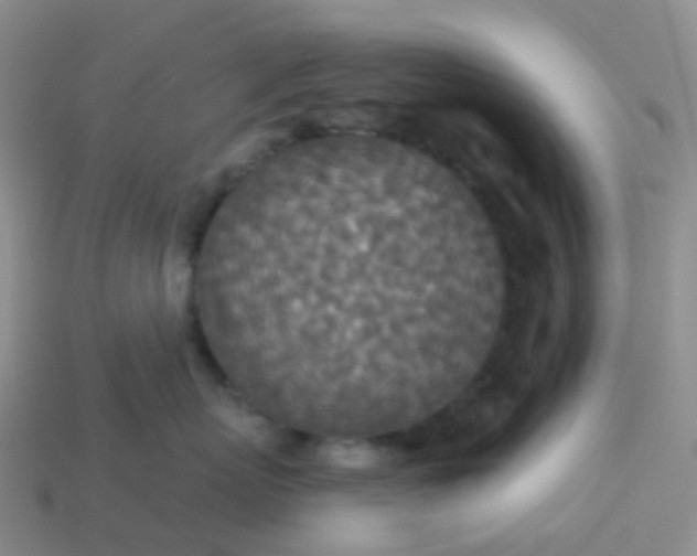 X0000113880767200910081746