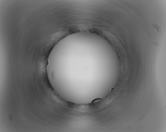 X0000113880768200910081746