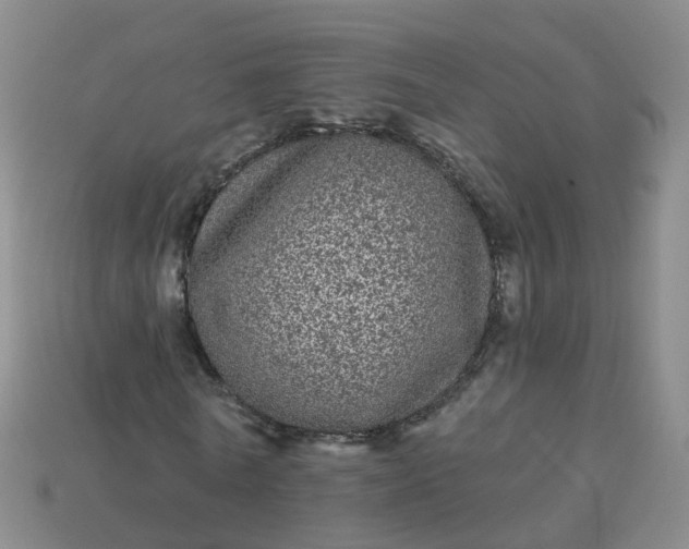 X0000113880770200910081746