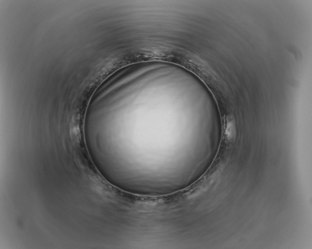 X0000113880771200910081746