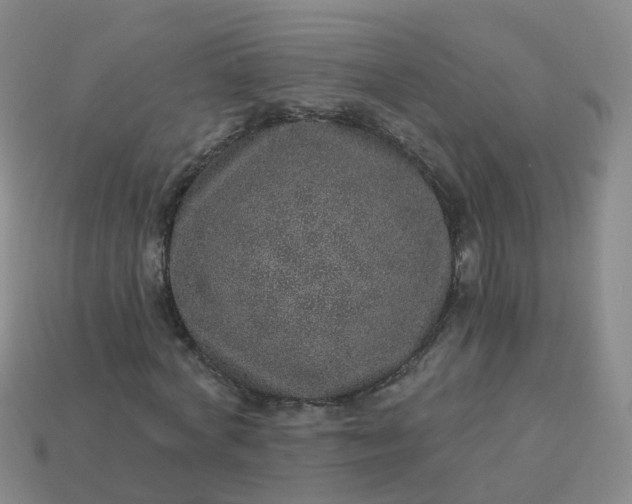 X0000113880772200910081746