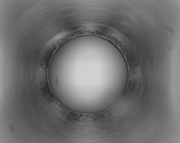 X0000113880773200910081746