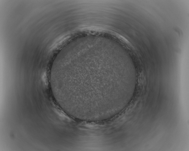 X0000113880774200910081746