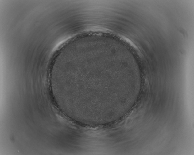 X0000113880775200910081746