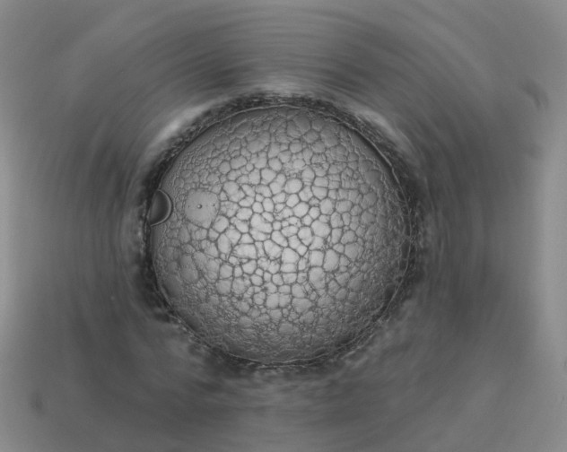 X0000113880776200910081746