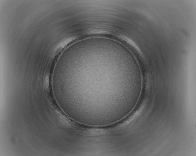 X0000113880777200910081746