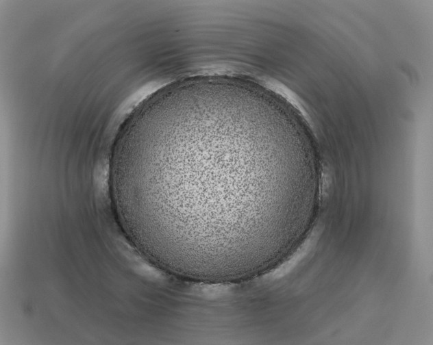 X0000113880778200910081746